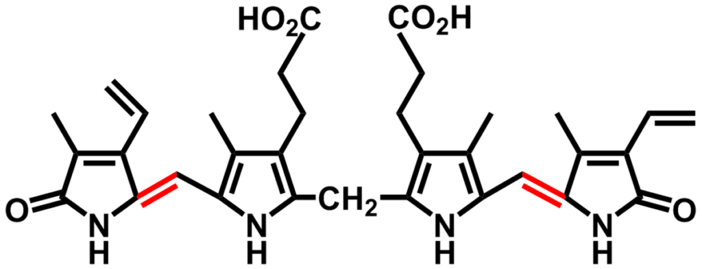 ¿Cómo se produce y elimina la bilirrubina?