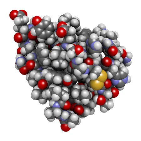 Biología celular: ¿Qué son las hormonas?