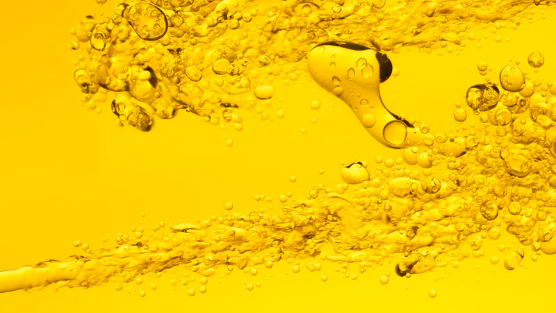 Hidratos de carbono y lípidos del organismo humano