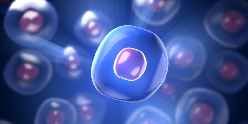 Las células del organismo humano