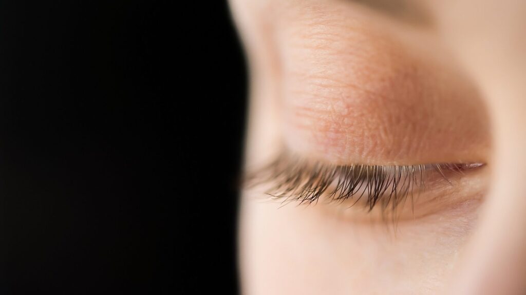 ¿Qué son los párpados?