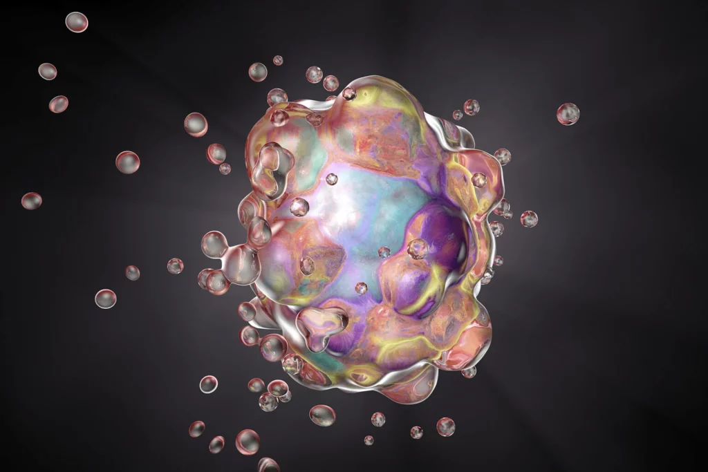 ¿Qué es la apoptosis?