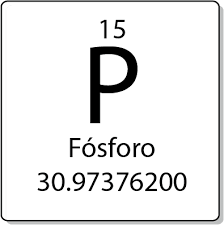 ¿Cuáles son las Anomalías de la concentración del fósforo?