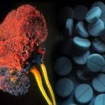10 aspectos que influyen en las concentraciones de los medicamentos en el organismo y en sus efectos.