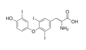 ¿Cómo se producen las hormonas tiroideas?