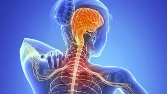 ¿Qué es la esclerosis lateral primaria?