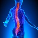 Curvaturas normales de la columna vertebral