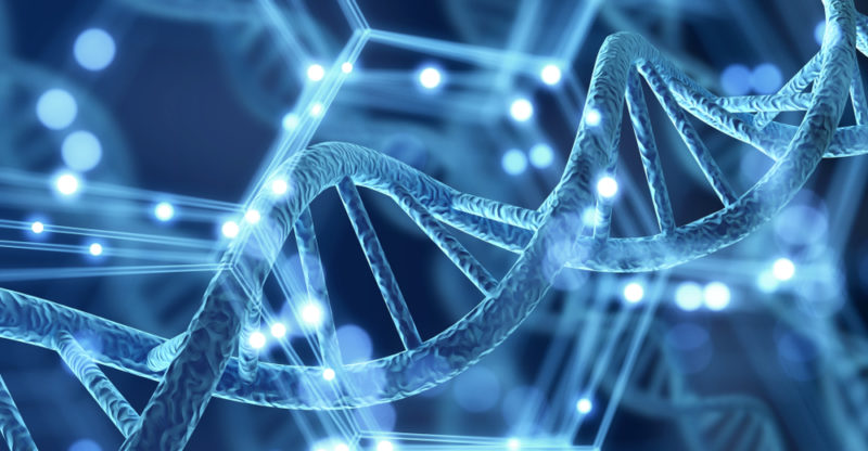 Conceptos básicos de genética