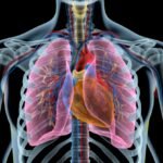 Fuerzas que intervienen en la ventilación pulmonar.