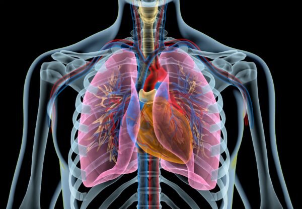Fuerzas que intervienen en la ventilación pulmonar.
