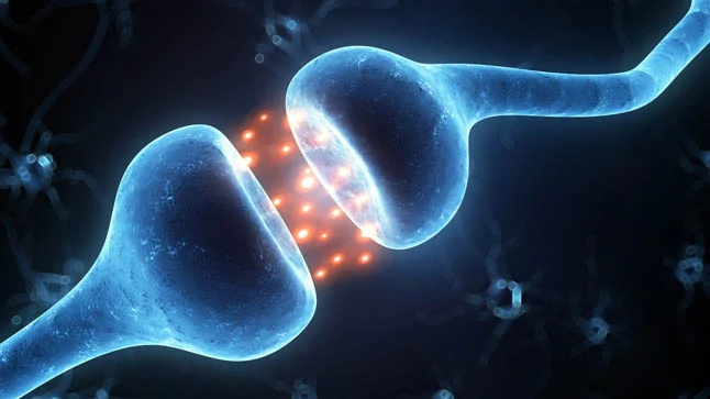 ¿Cómo se usa la piridostigmina en miastenia gravis?