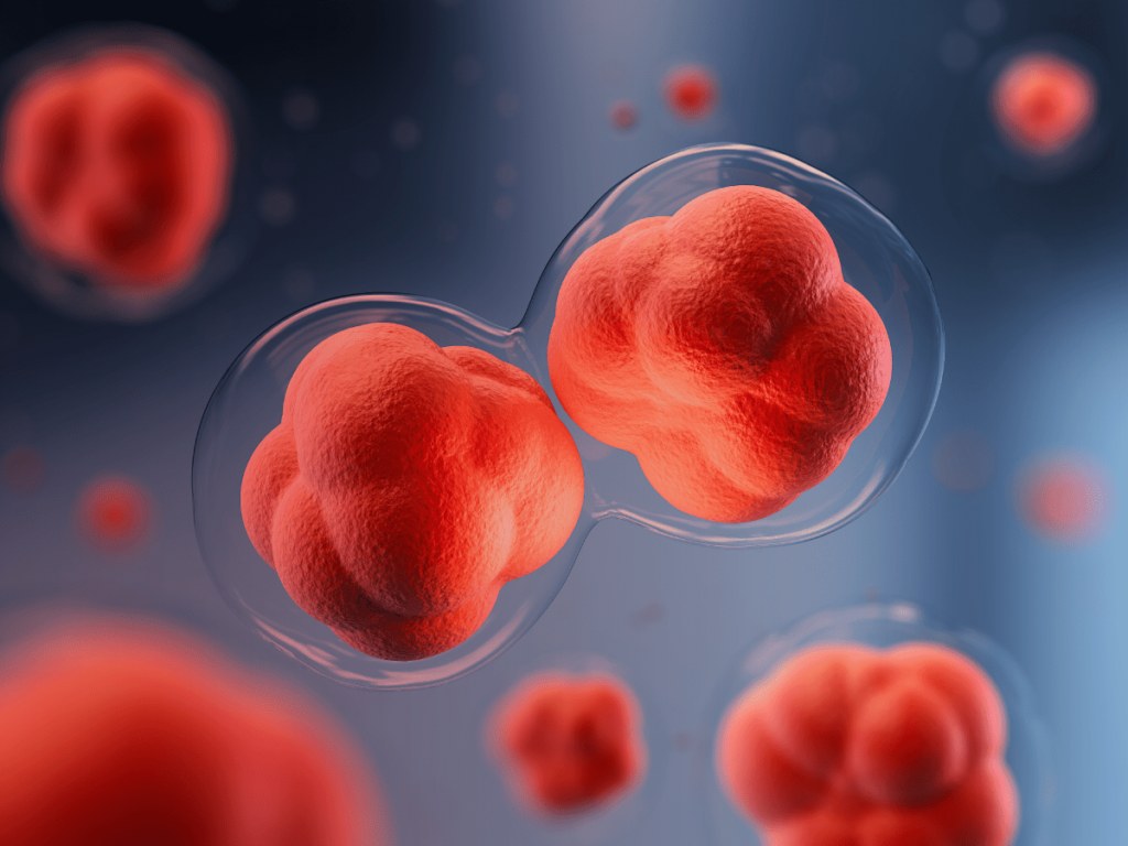 El mosaicismo se considera un fenómeno biológico en el cual un individuo, producto de la unión de dos gametos haploides, forma dos o más poblaciones celulares con diferente genotipo.