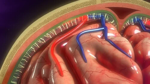¿Qué es la meningitis bacteriana?