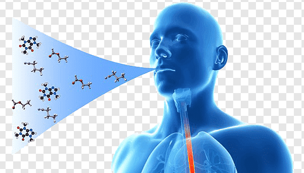 Principios físicos de los gases respiratorios
