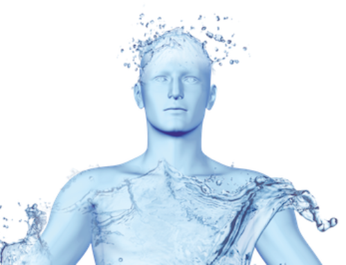 ¿Cuánta agua contiene el organismo humano?