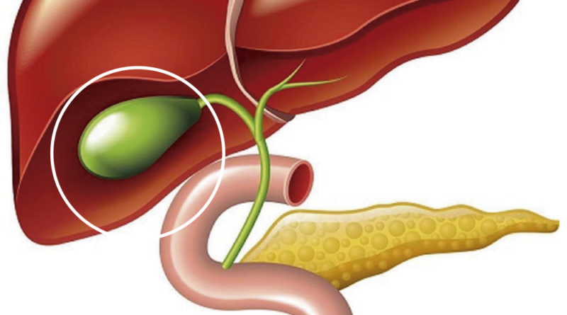 Anatomía general de la vesícula biliar