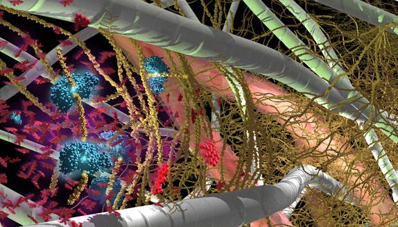 ¿Qué moléculas de la matriz extracelular actúan como DAMP?