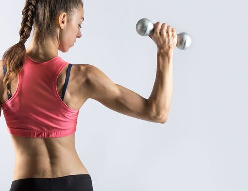 ¿Qué es el sistema musculo esquelético?