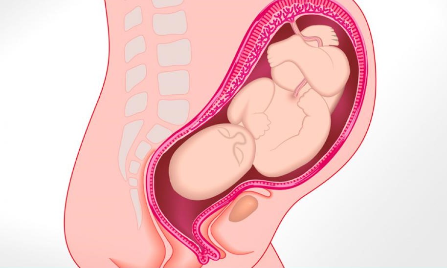 Principales cambios fisiológicos en la fase 1 del parto