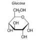 ¿Cuáles son los reguladores de la homeostasis de la glucosa?