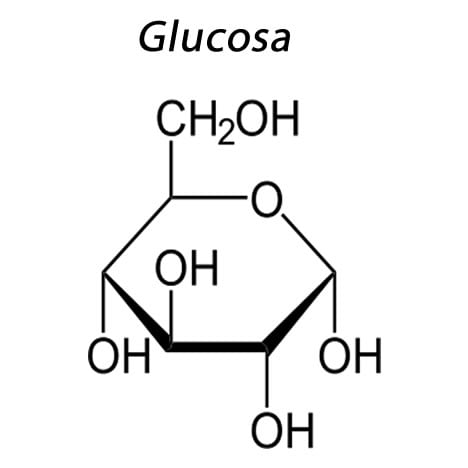 ¿Cuáles son los reguladores de la homeostasis de la glucosa?