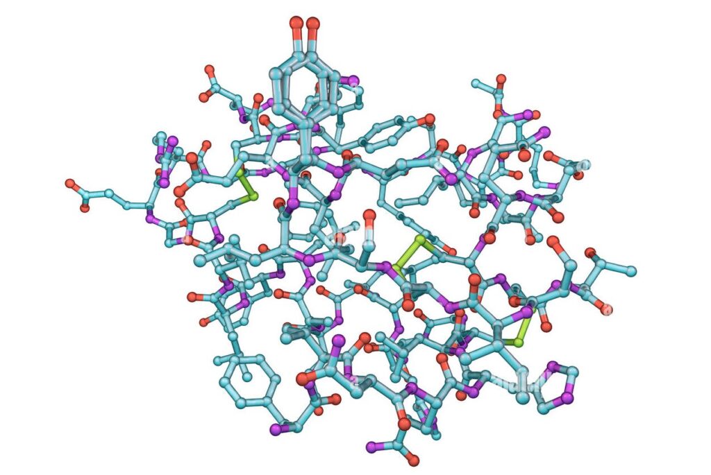¿Qué es la insulina?