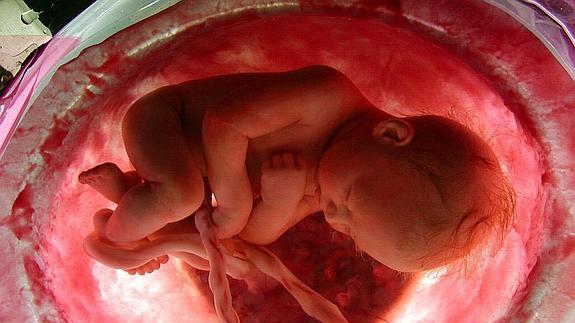 Papel de la hormona liberadora de corticotropina en el parto