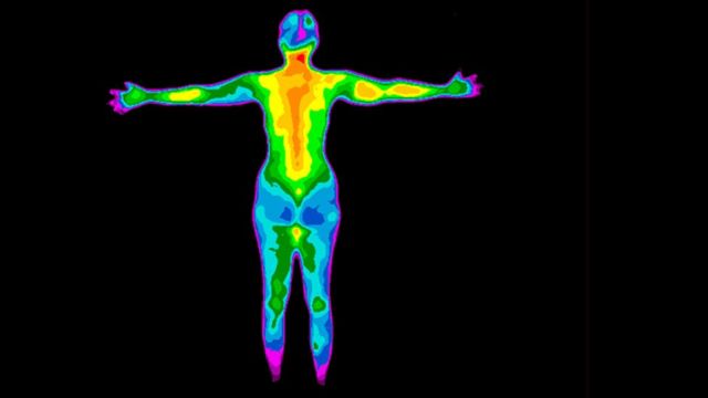 ¿Cómo influyen las hormonas tiroideas en la actividad metabólica?