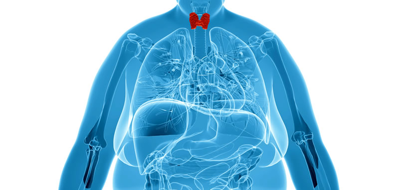 ¿Cuáles son los efectos del déficit de hormona tiroidea?