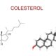Papel del colesterol en la formación de cálculos biliares