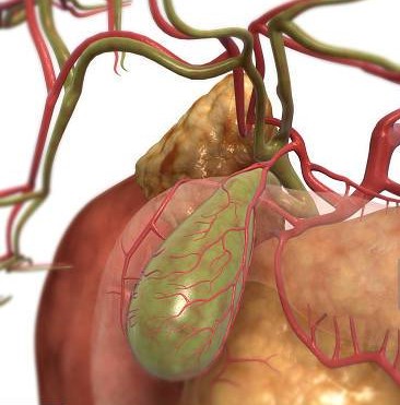 ¿Qué es la hemobilia?