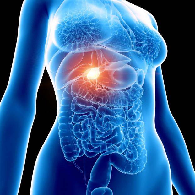 ¿Cómo se almacena y concentra la bilis en la vesícula biliar?