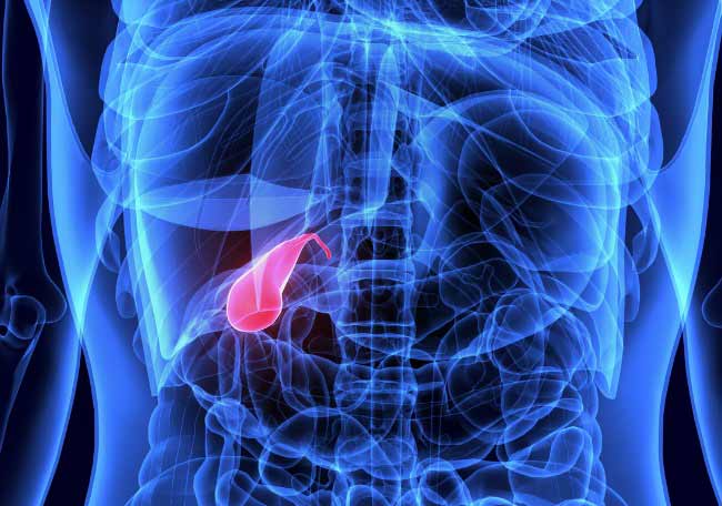 ¿Qué es la vesícula biliar?