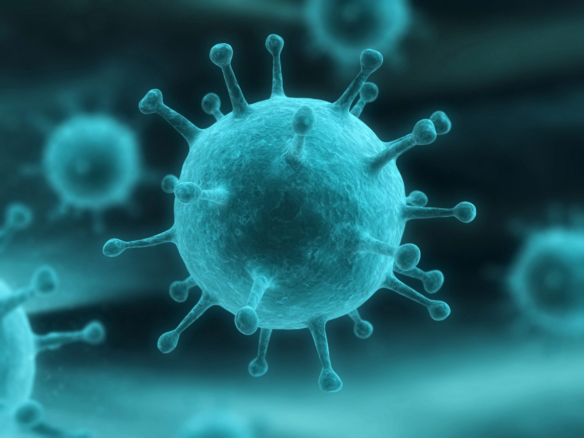 Gripe: tipos de virus Gripe: tipos de virus