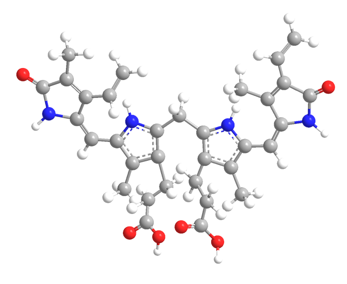 Mecanismo de excreción de la bilirrubina