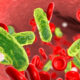 ¿Qué es la septicemia?