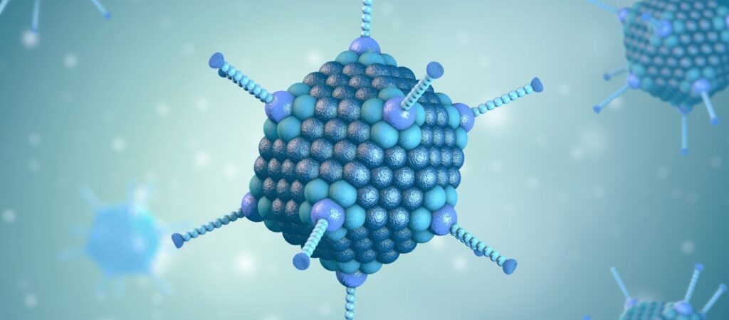 ¿Qué enfermedad causan los adenovirus?