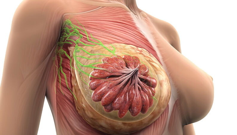 ¿Cómo es el drenaje linfático de la glándula mamaria?