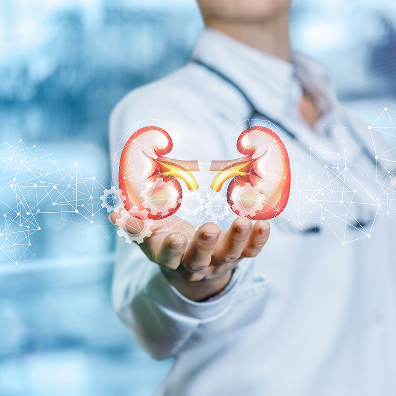 ¿Cuáles son las bases del tratamiento de la enfermedad renal crónica?