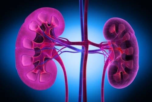 características de la enfermedad renal crónica