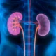 Clasificación de las causas de lesión renal