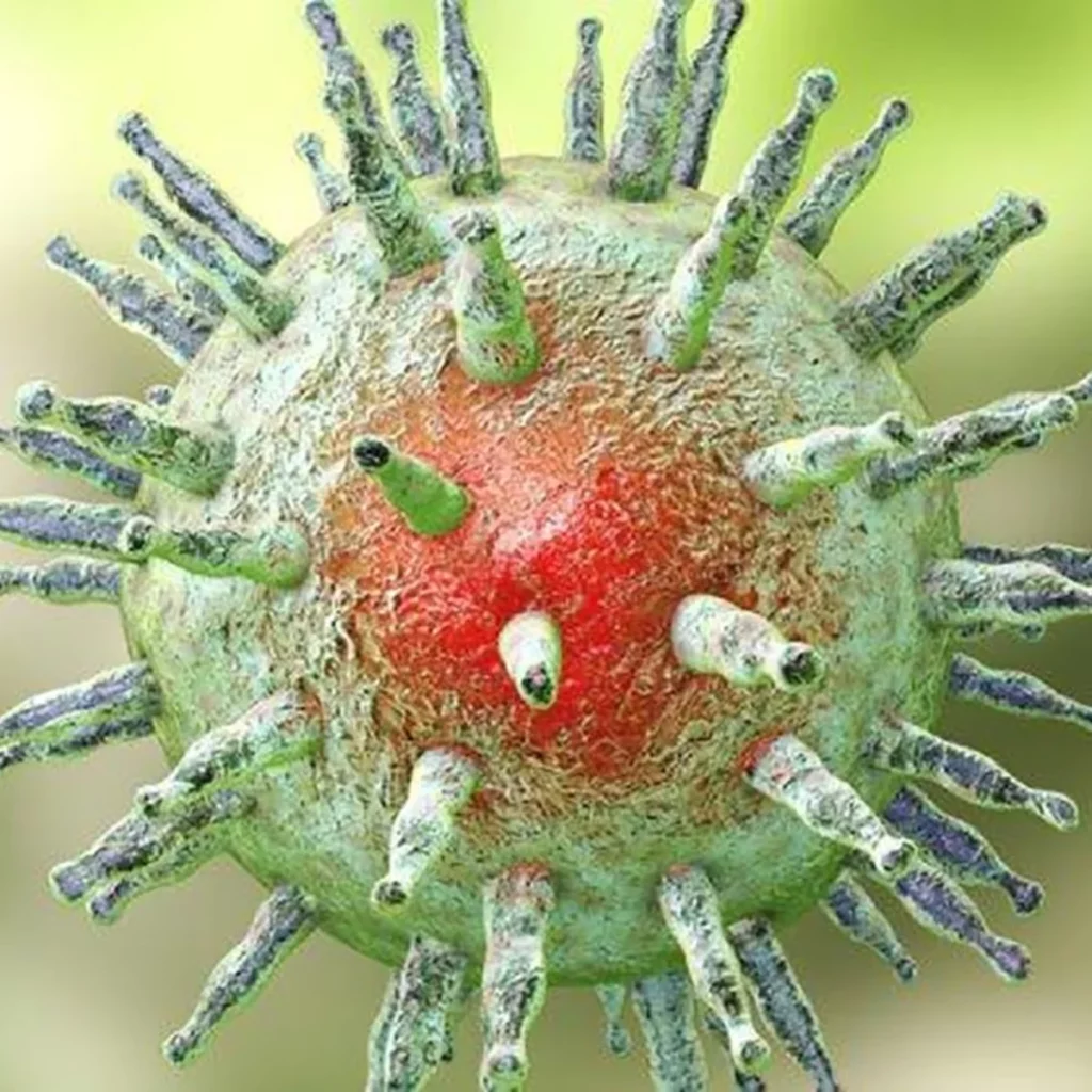 ¿Qué es la mononucleosis infecciosa?