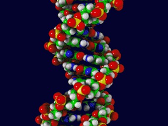 ¿Dónde se controla la síntesis de proteínas celulares?