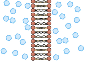 Homo medicus Difusión simple