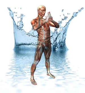 ¿Qué es el medio interno?