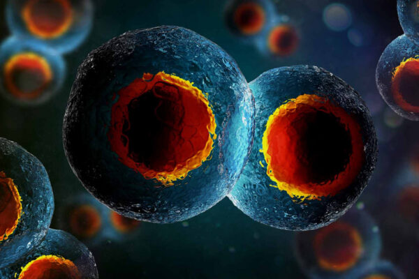 Control del crecimiento, diferenciación y muerte celular