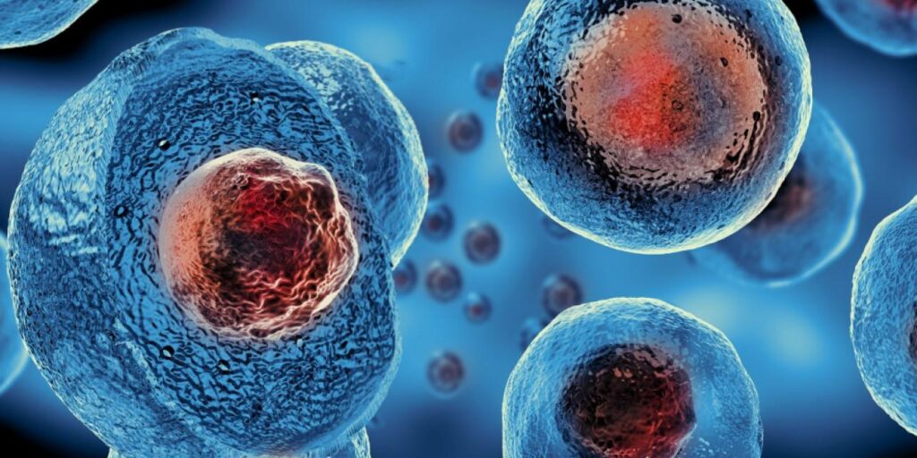 Regulación de la actividad celular