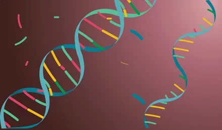 ¿Qué es la Transcripción?