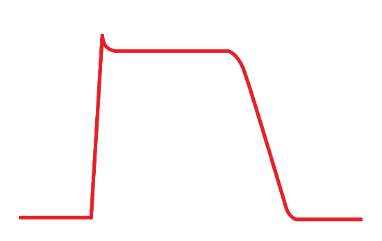¿Cómo es el potencial de acción del músculo cardiaco?