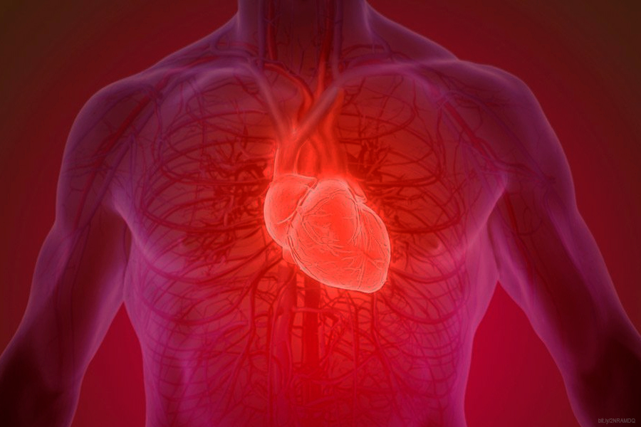 ¿Qué es el trabajo del corazón?